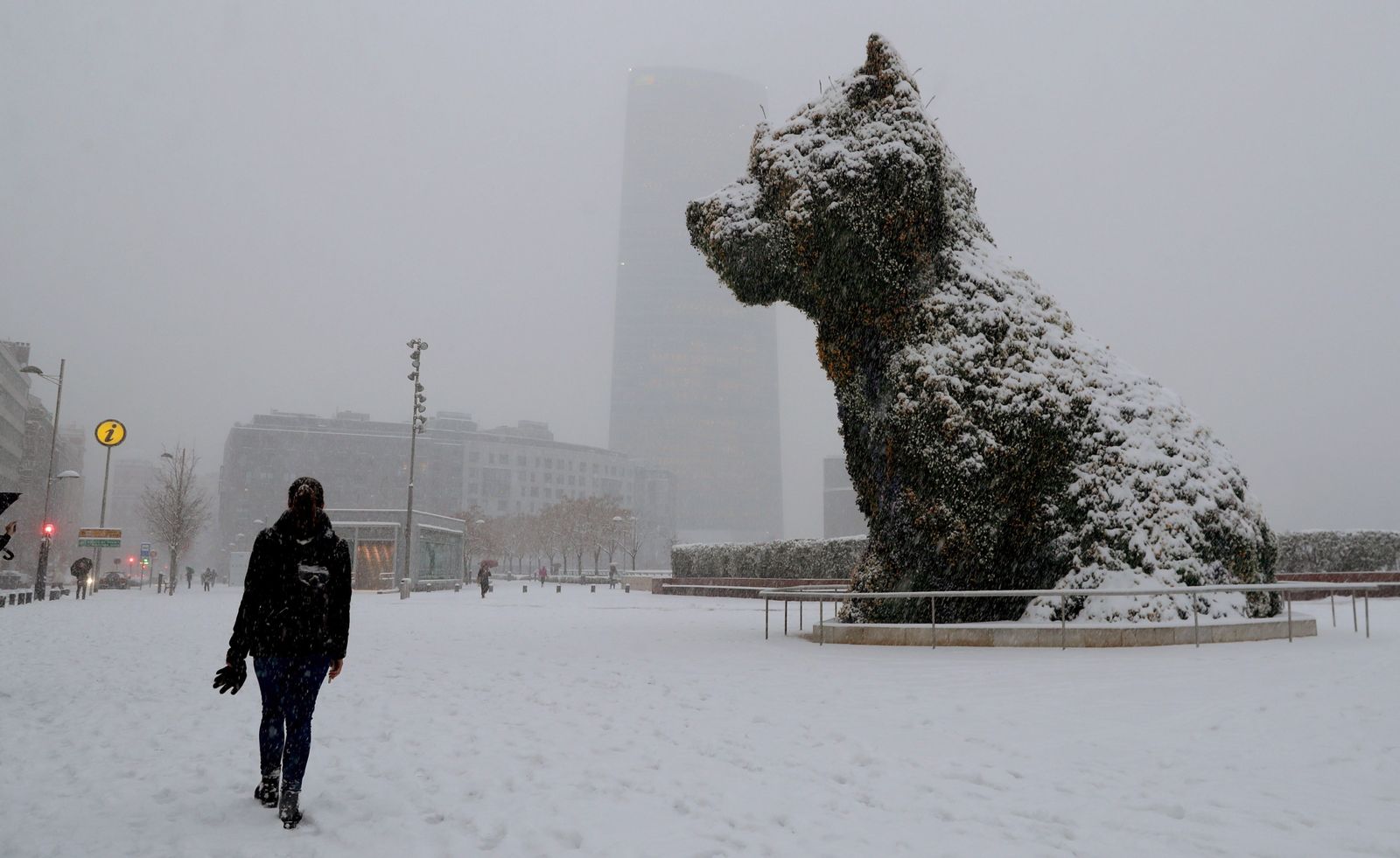 La nieve ha teñido de blanco el País Vasco