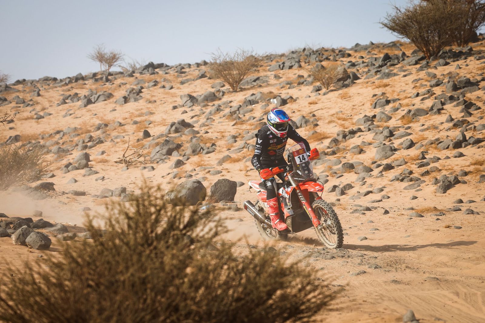 Las mejores fotos del Rally Dakar | undécima etapa