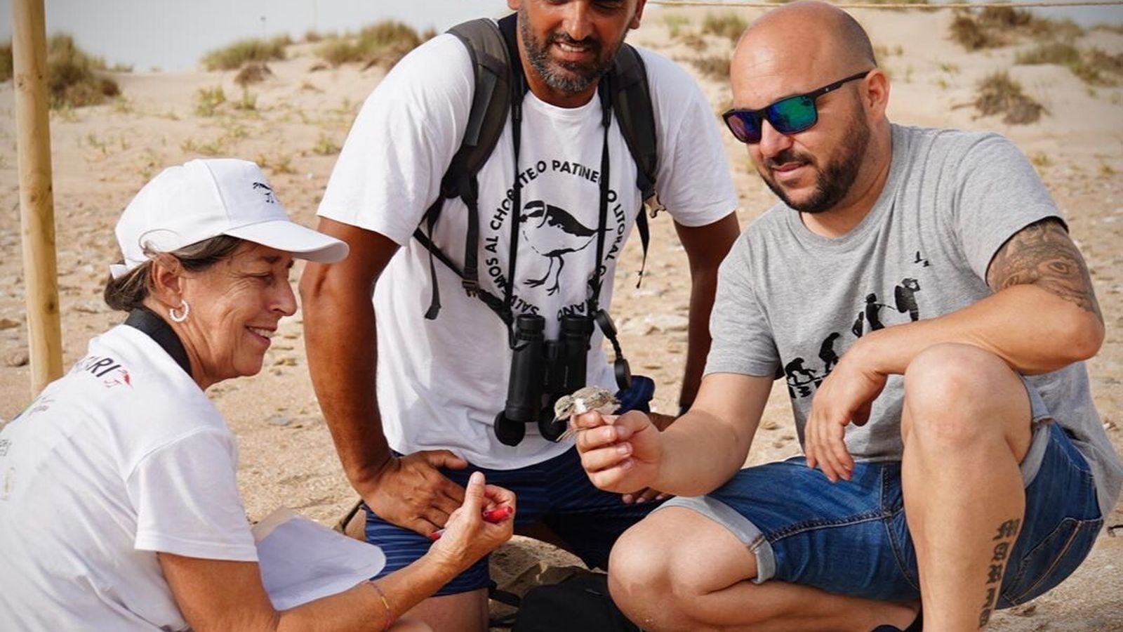 Un grupo de anilladores, con dos ejemplares, en la zona de cría de Cortadura.
