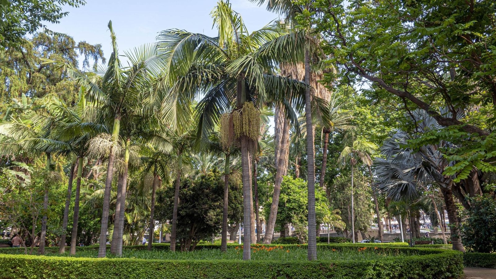 Una imagen del Parque de Málaga.