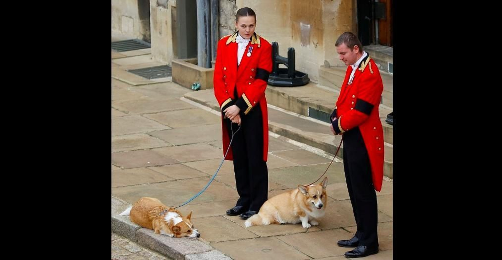 Los inseparables animales de la Reina Isabel II acuden a su entierro