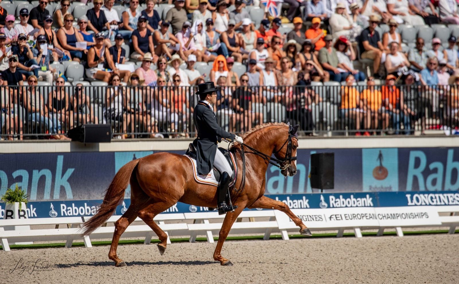 Claudio  Castilla , en la Kur final del Campeonato de Europa de Doma Clásica.
