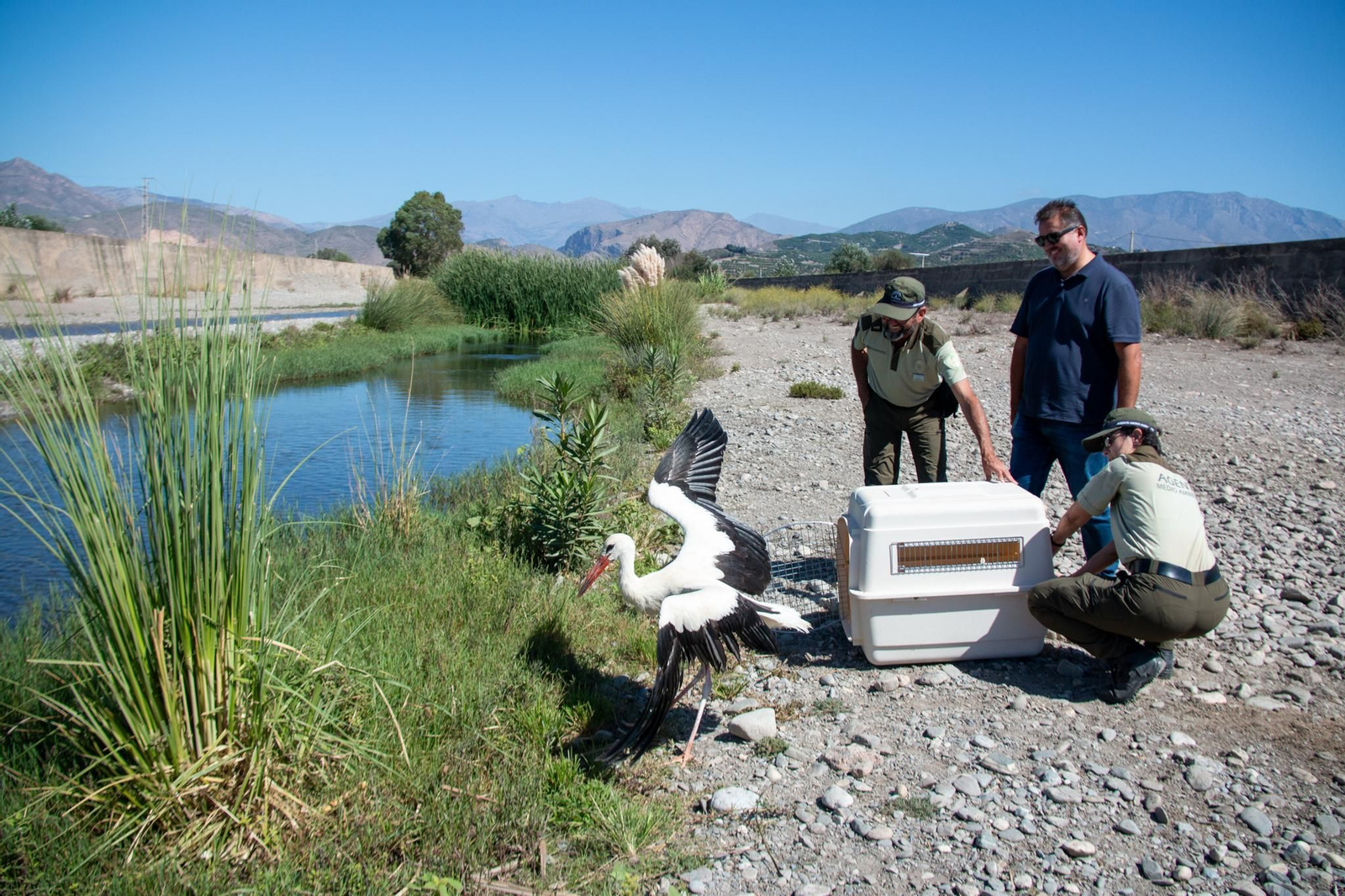 Cerca de un millar de animales pasan por el Centro de Recuperación de Especies Amenazadas de Granada en el primer semestre del año