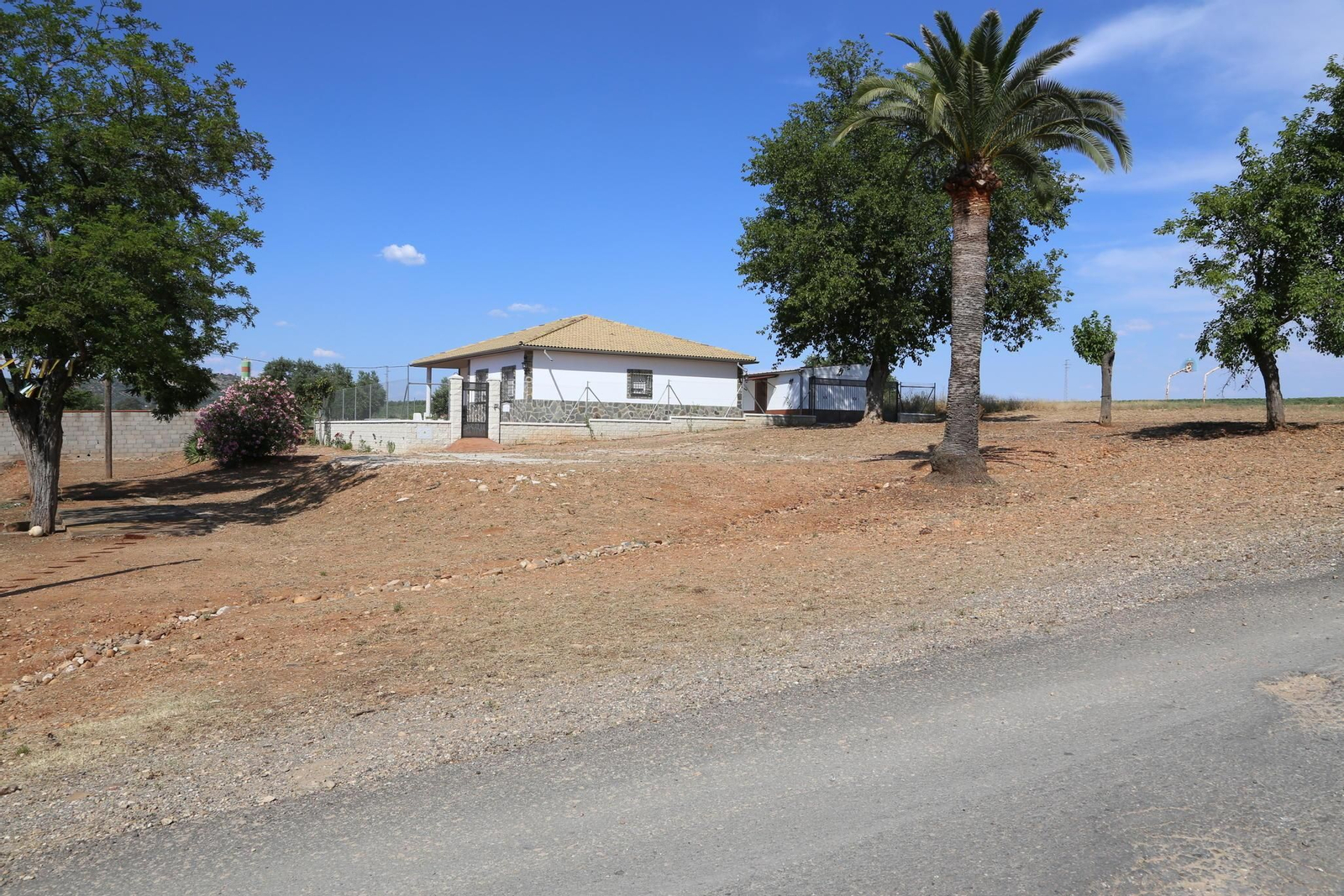 Construcciones en los Huertos Familiares de San Fernando.
