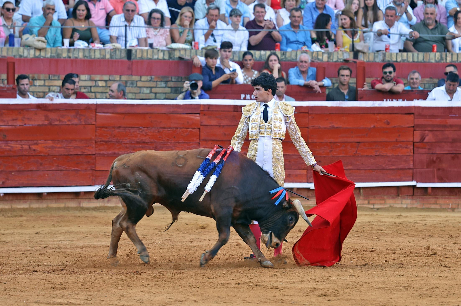 Toros La Merced 2025: Imágenes de la Novillada de Javier Zulueta, Cristian González y Carlos Tirado
