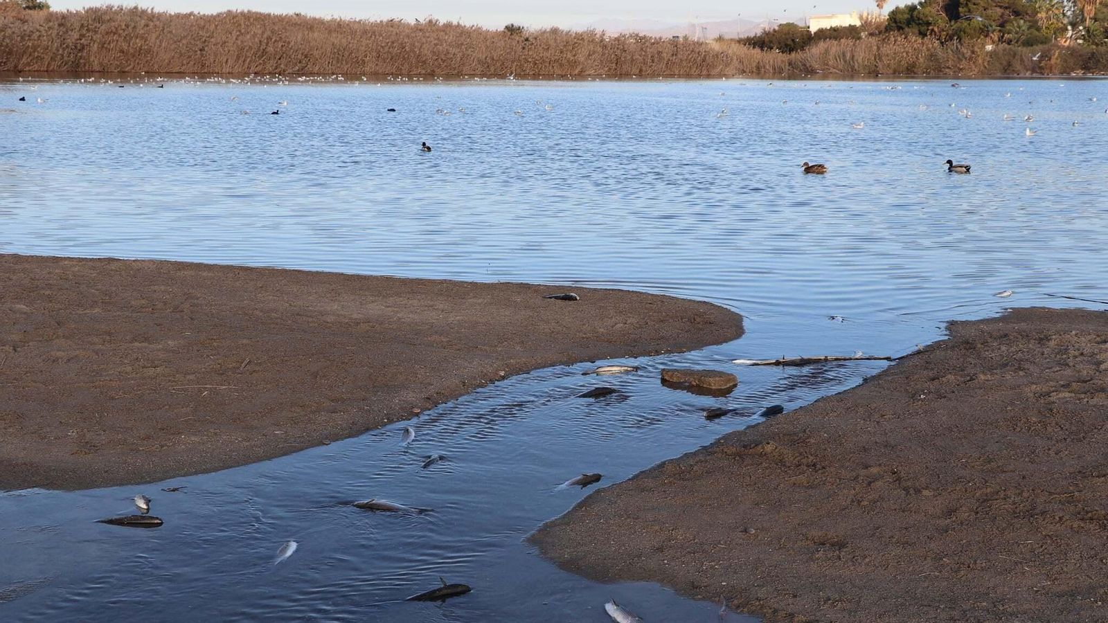 Laguna de Puerto Rey este martes.