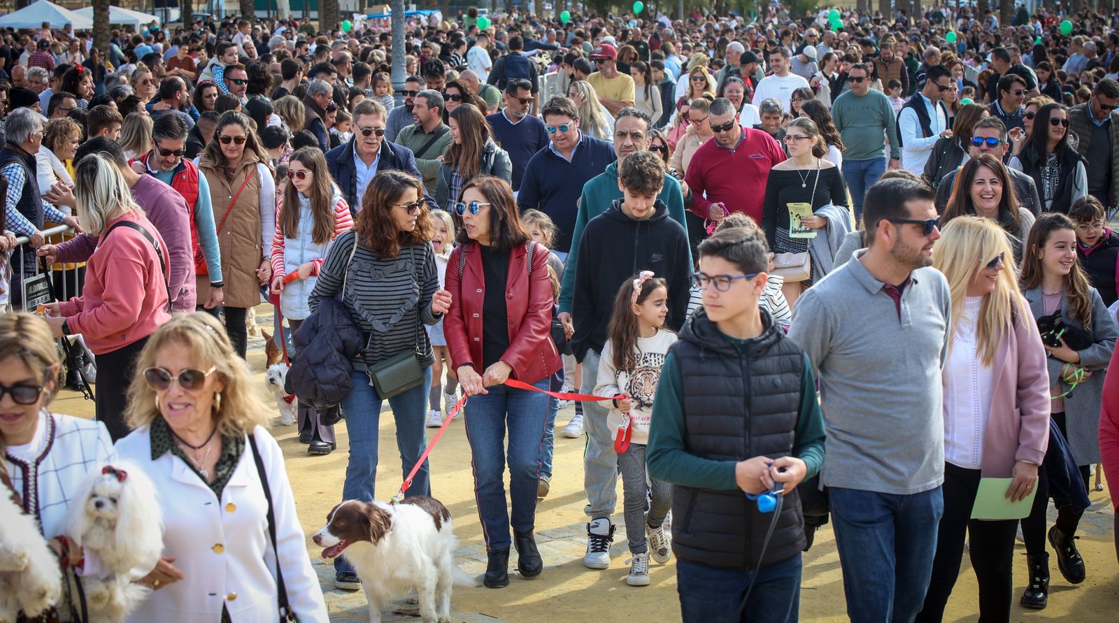 Fiesta de san Antón 2024 en Jerez
