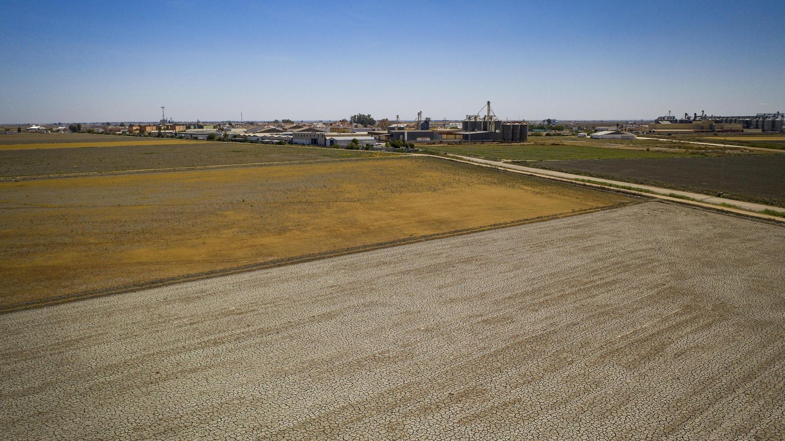 Los colores de la sequía. La finca seca del Toruño (más clara) sin arroz, junto a otra que se sembró en 2020 y otra que también lleva tres años sin sembrarse.