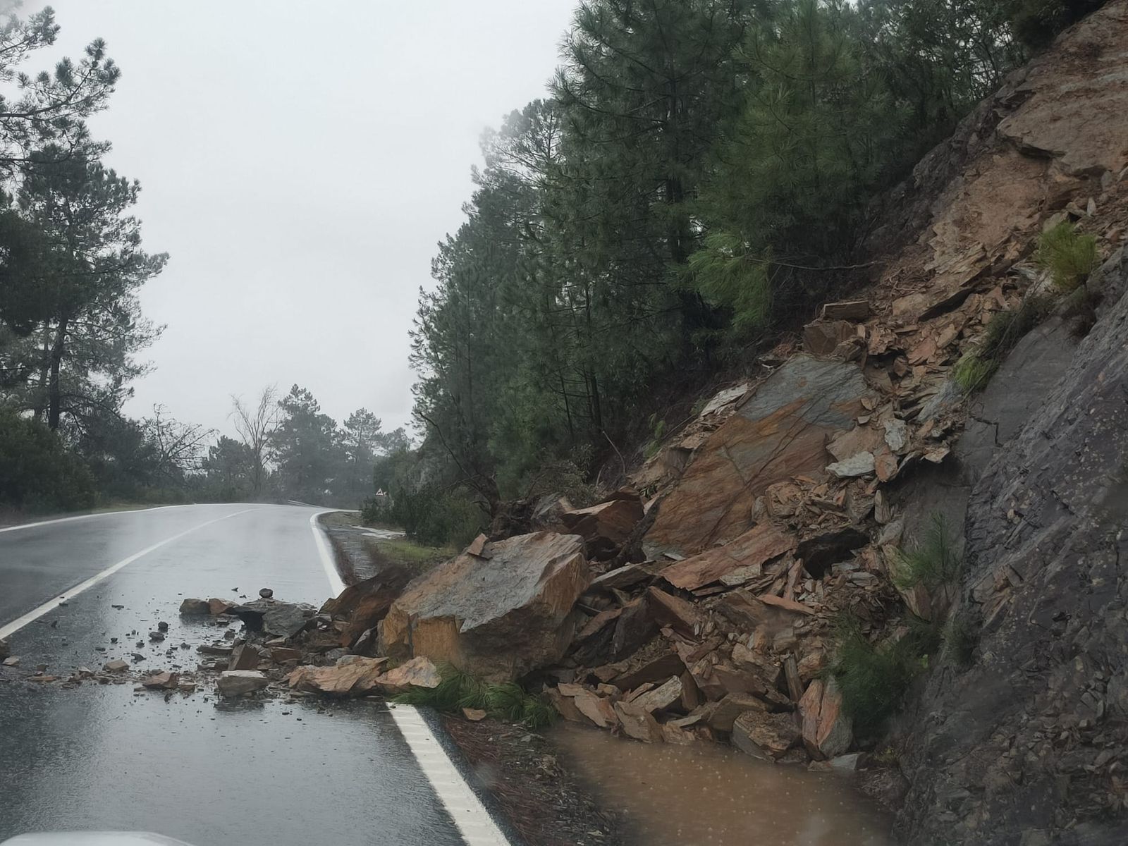 Desprendimiento en una carretera de la Sierra hoy.