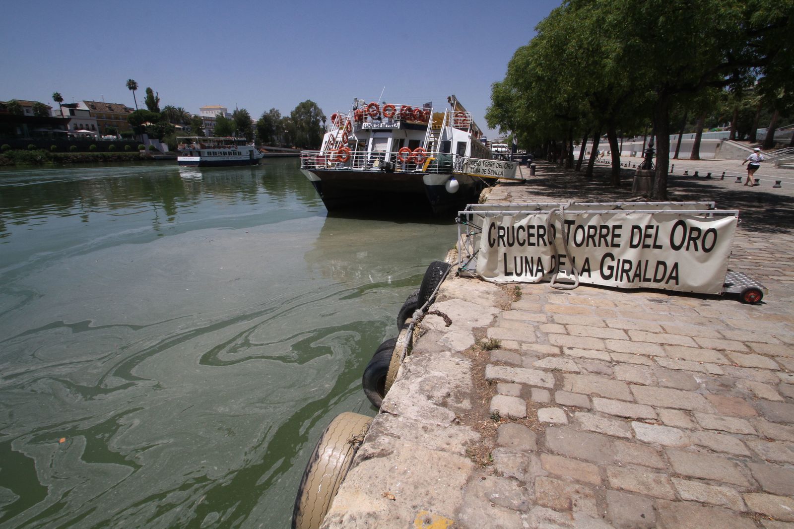 Mancha de aceite en el Guadalquivir