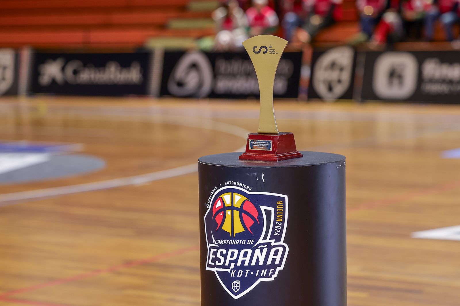 Campeonato de España cadete e infantil de selecciones: las mejores fotos