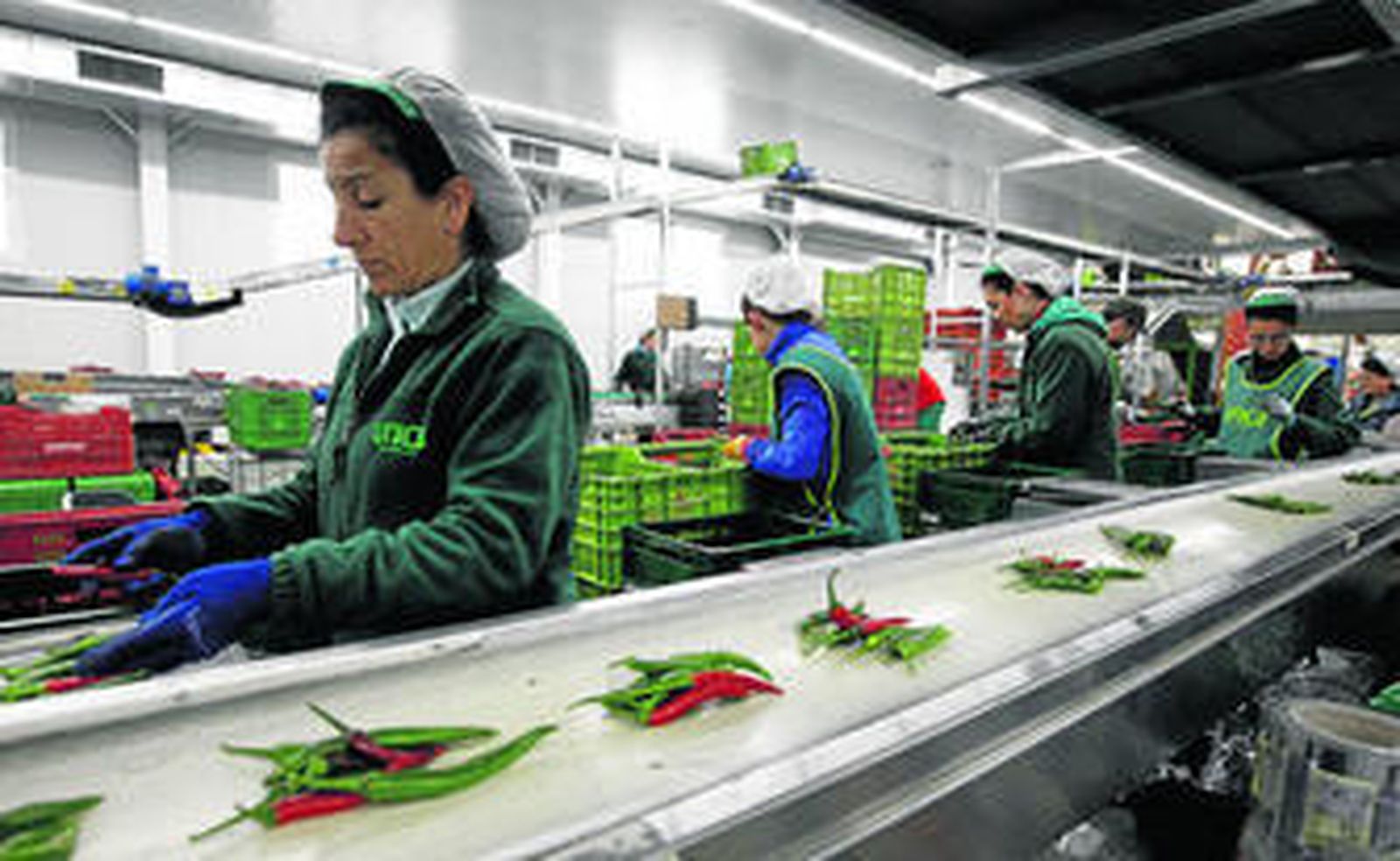 Instalaciones de Dcoop en Antequera.