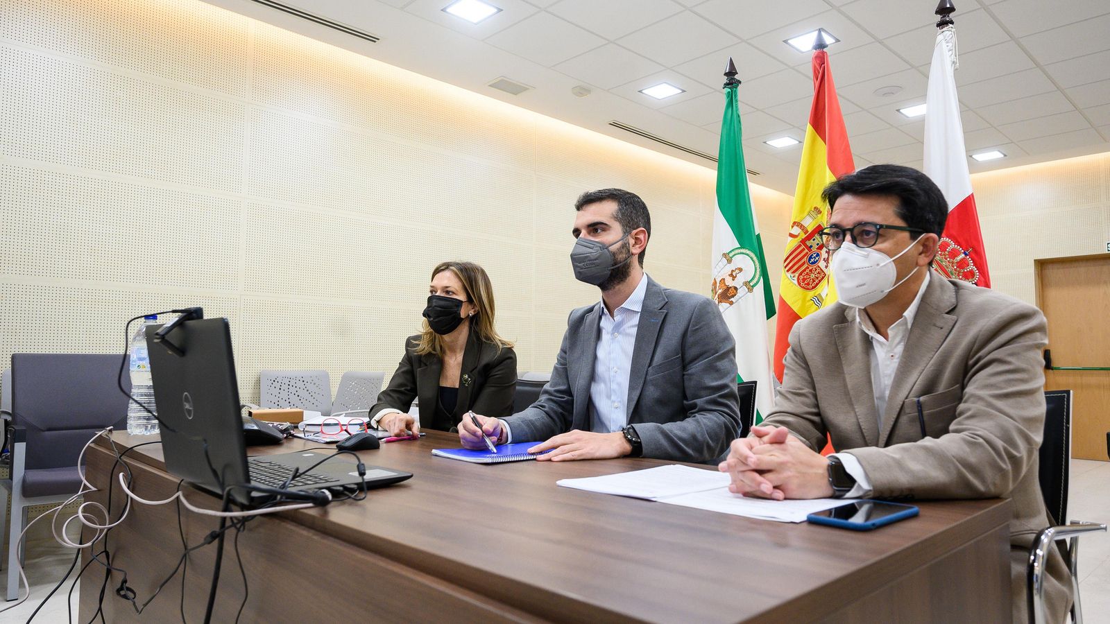 Fernández-Pacheco, durante la reunión telemática de la Sociedad Almería Alta Velocidad