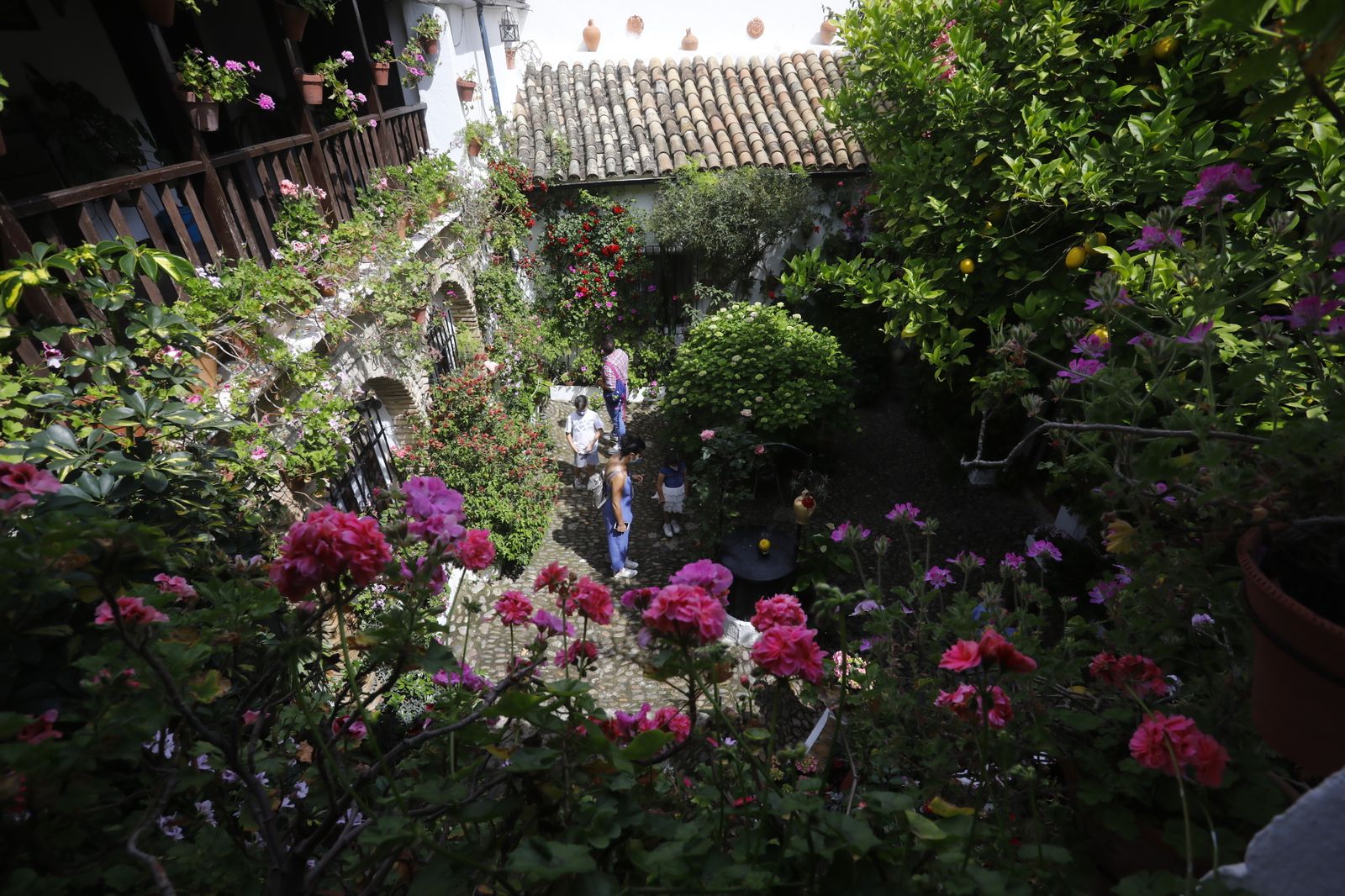 Fotografías: Sábado de colas y bulla en los Patios de Córdoba