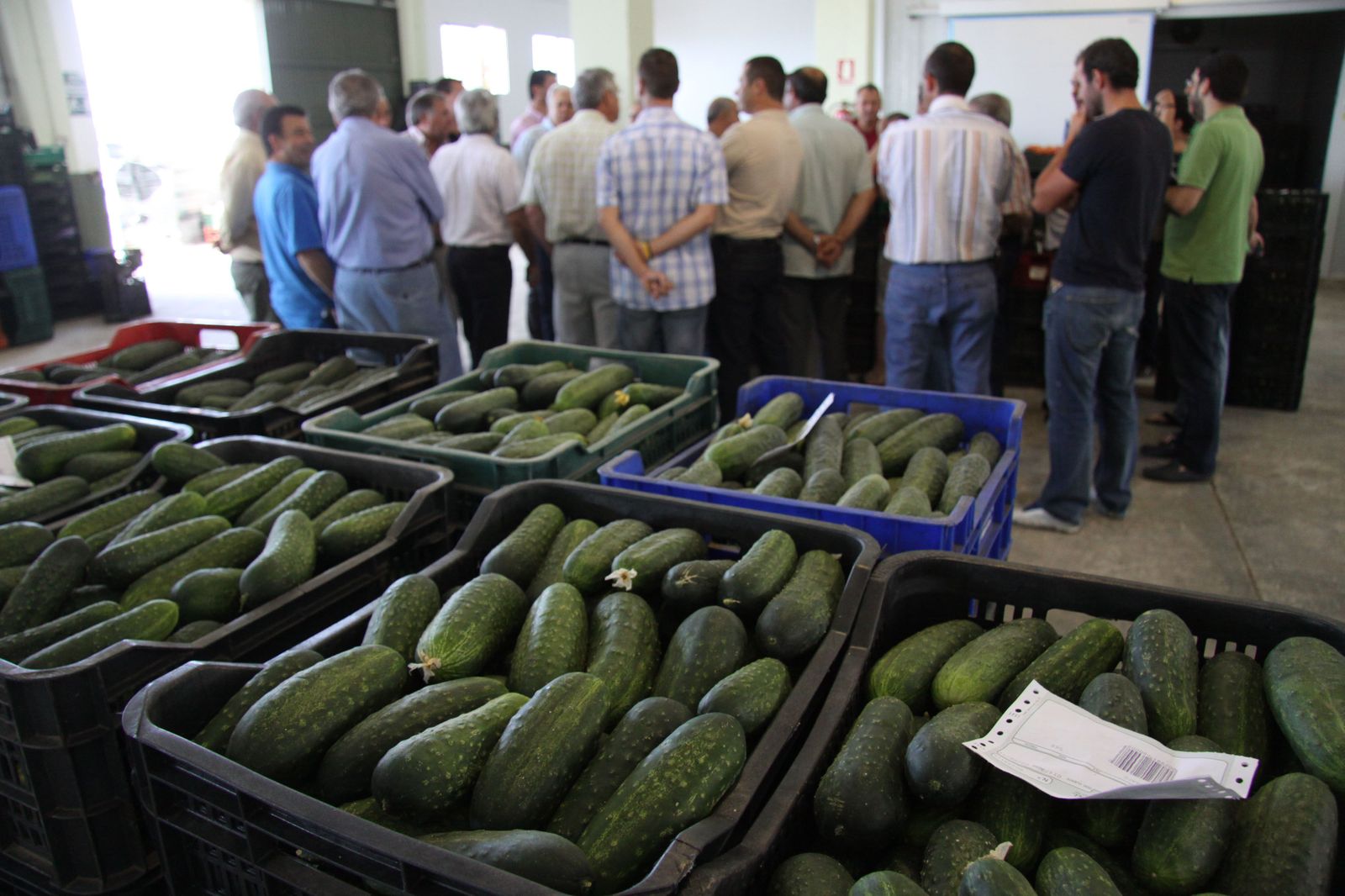 Venta al por mayor de hortalizas.