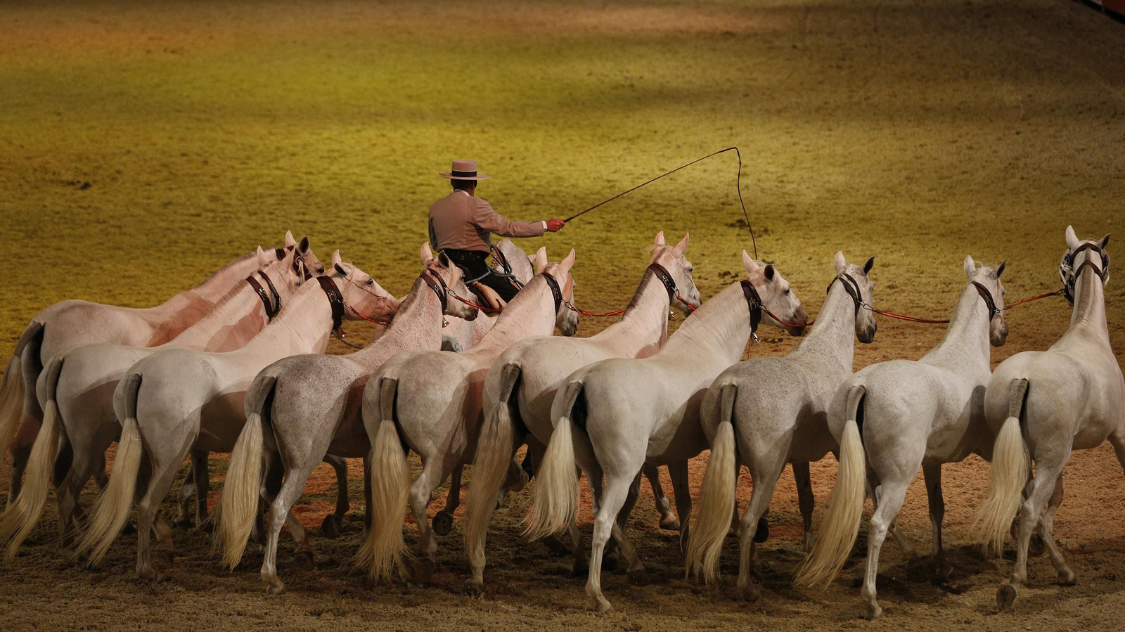 Inauguración de Sicab 2017
