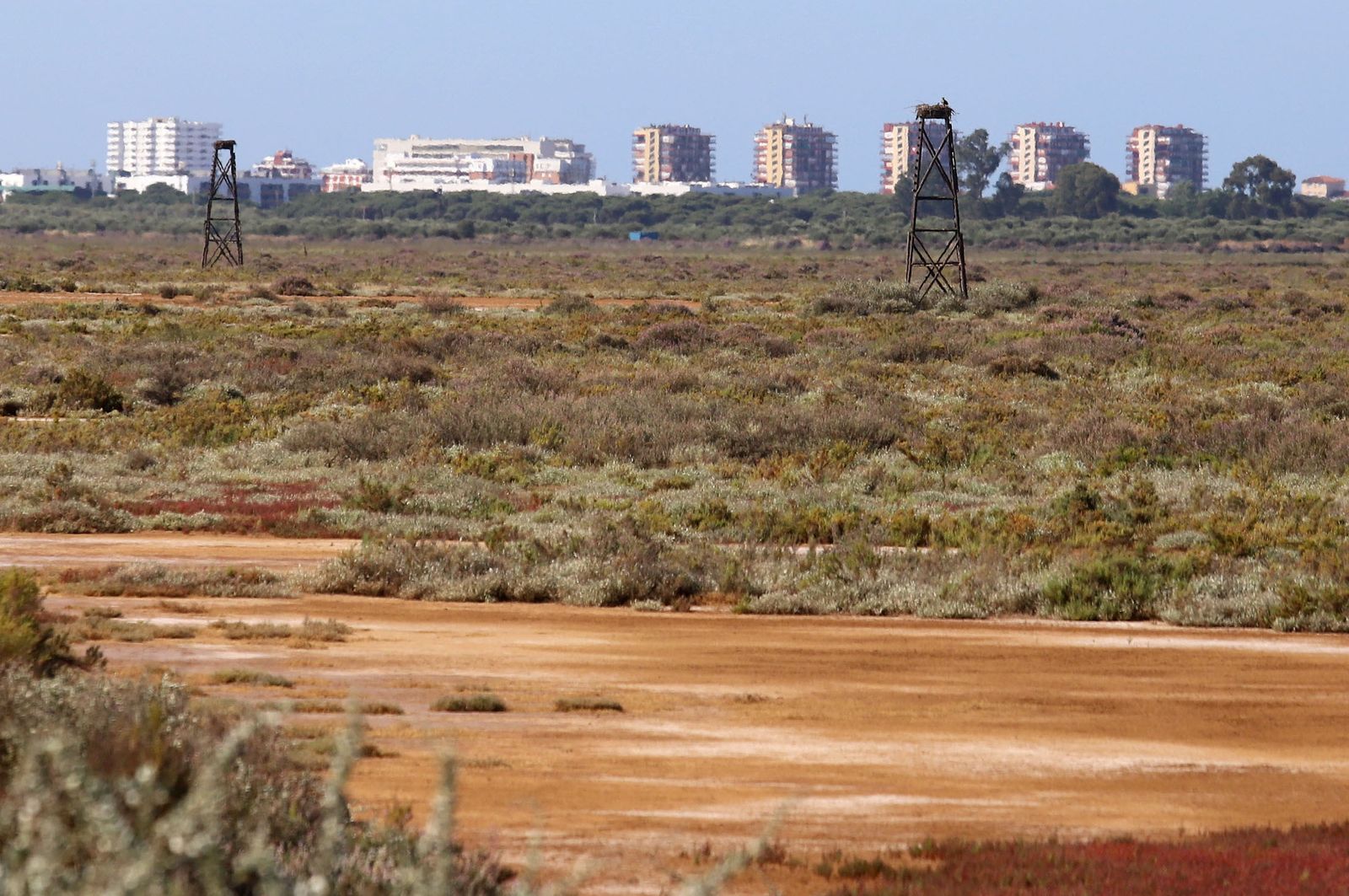 Inauguración del nuevo observatorio del Águila Pescadora en Marismas del Odiel