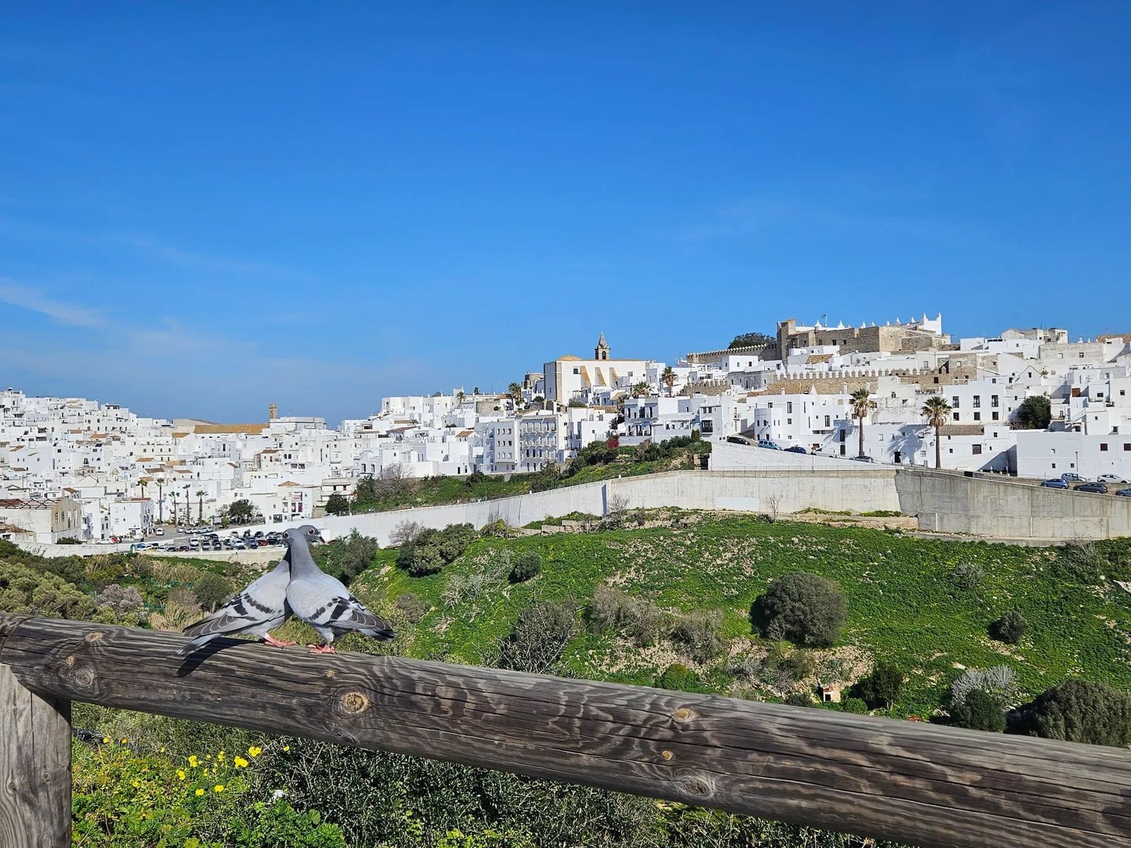 Mirador Don Quijote Vejer