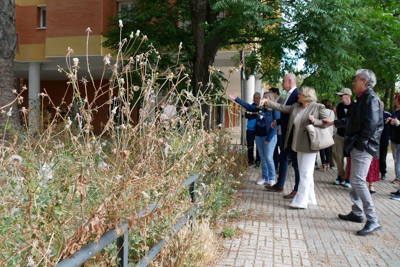 Vecinos de Andalucía Residencial muestran los problemas de  la barriada.