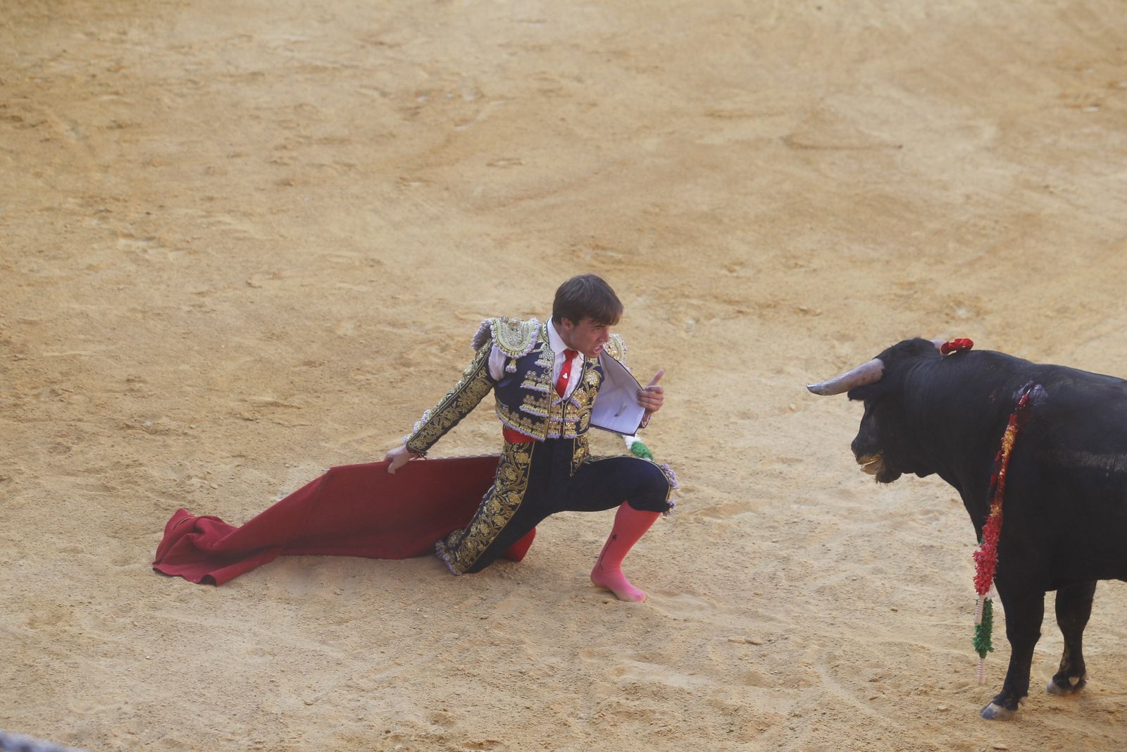 Fotogalería novillada Escuela Taurina de Almería. Feria de Almería 2019
