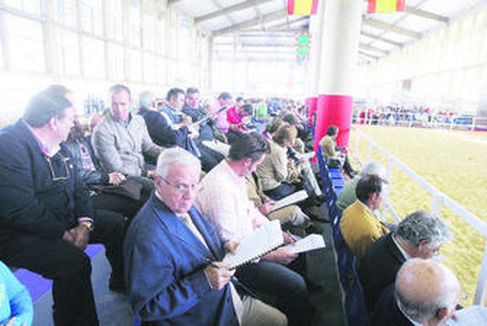 Un momento de la celebración de la Subasta Nacional de Ganado, ayer en Ifeca.