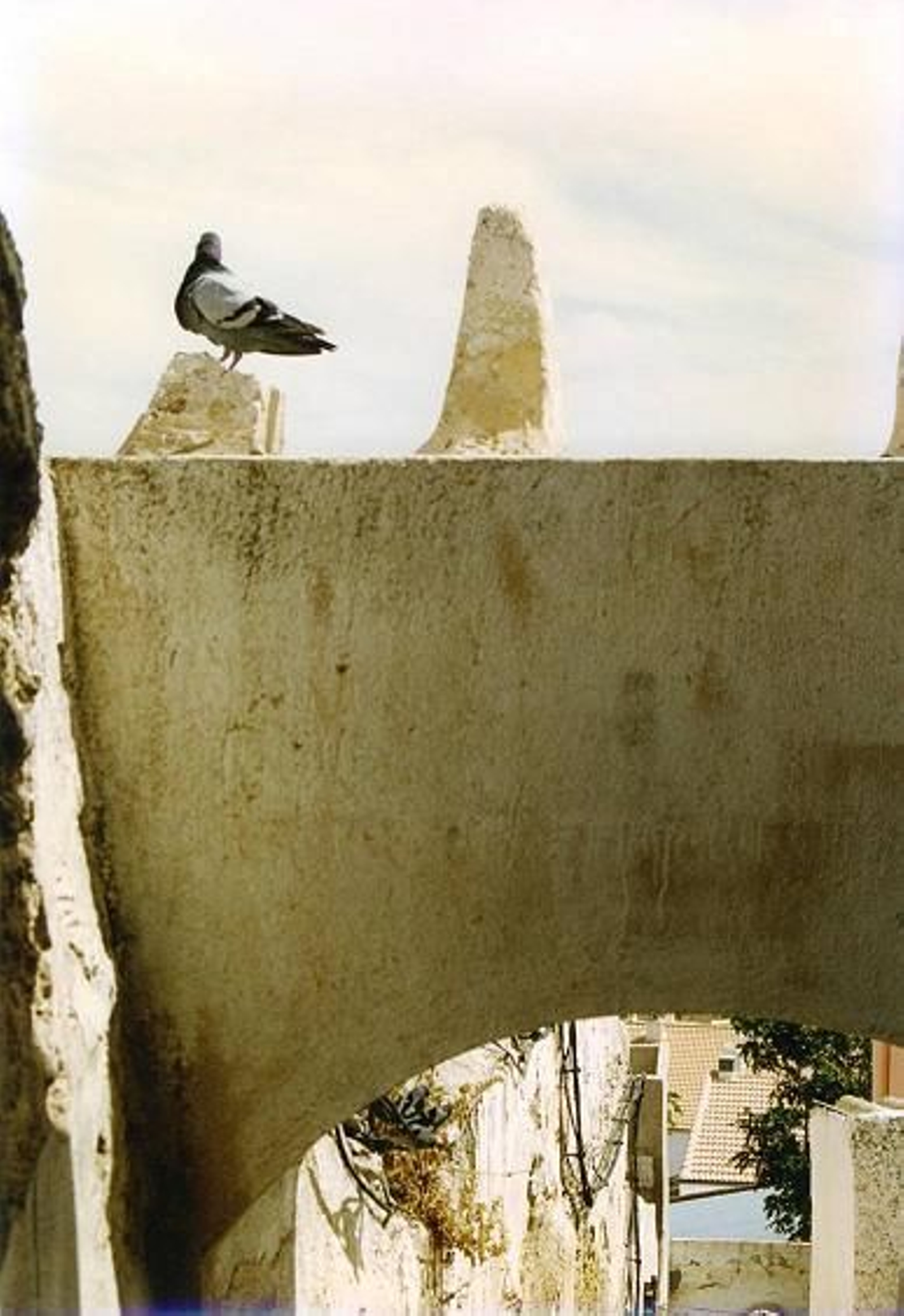 Historia gráfica de otro rincón perdido de Jaén: antes y después de la calle Vicario, en imágenes
