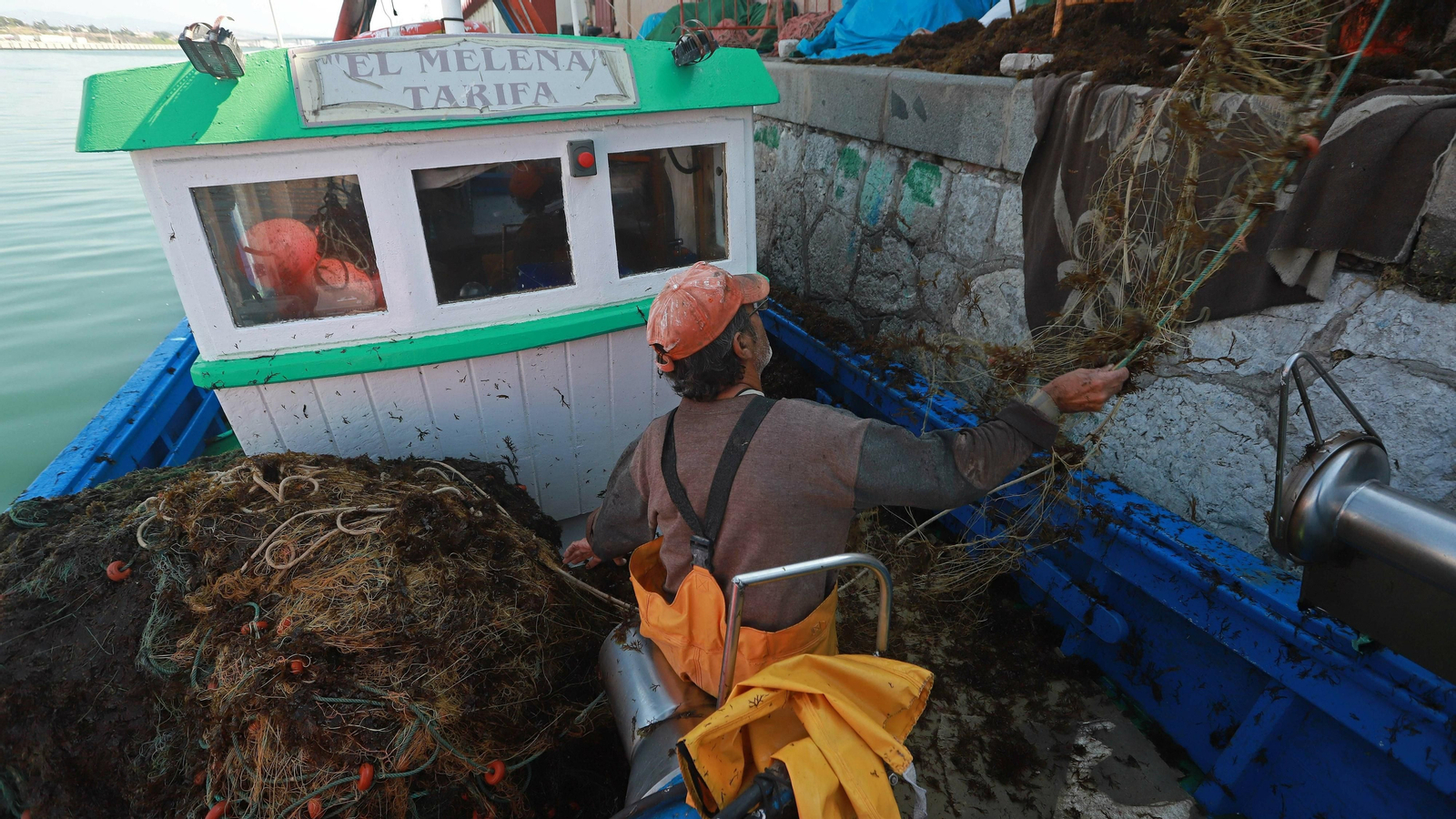 El alga invasora ahoga la pesca en Algeciras
