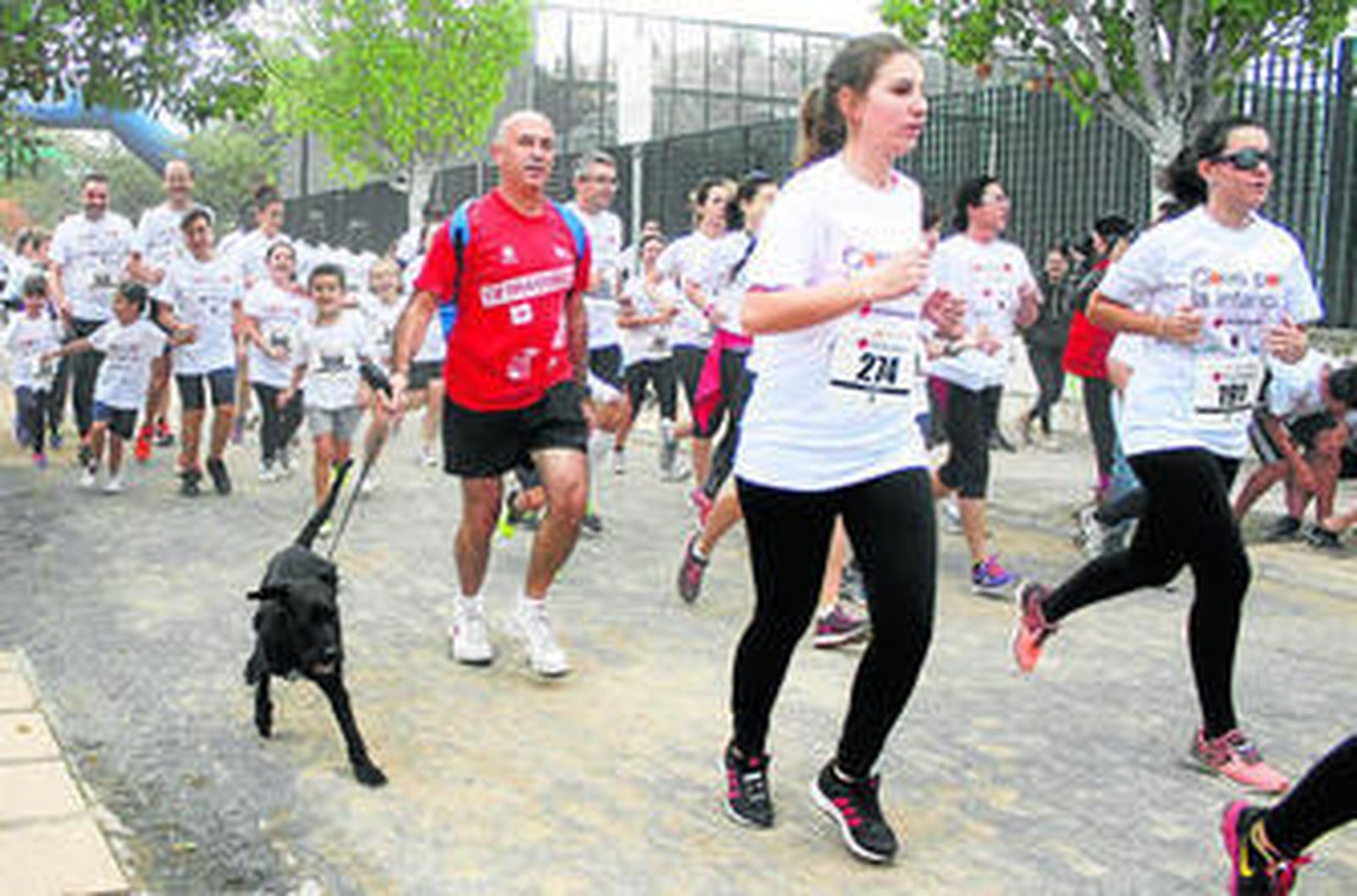 1. El pistoletazo de salida a la carrera se dio en el Polideportivo de la Bola de Oro, desde donde partieron los 1.300 participantes para recorrer un circuito de 5 kilómetros de longitud. 2 y 3. Los más pequeños de la casa disfrutaron junto a sus padres de una jornada emotiva donde fueron los grandes protagonistas.