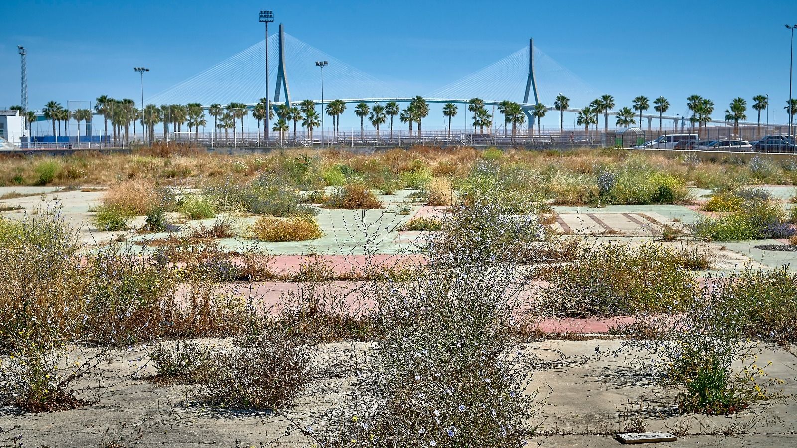 Terrenos abandonados de la antigua CASA donde debería construirse el nuevo hospital.