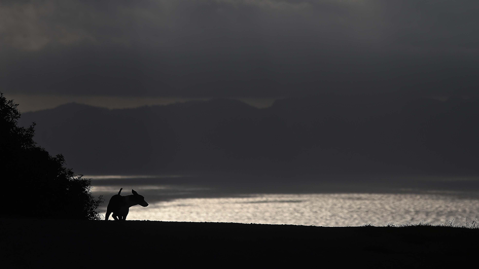 Fotos del sendero del Cerro del Tambor en Algeciras