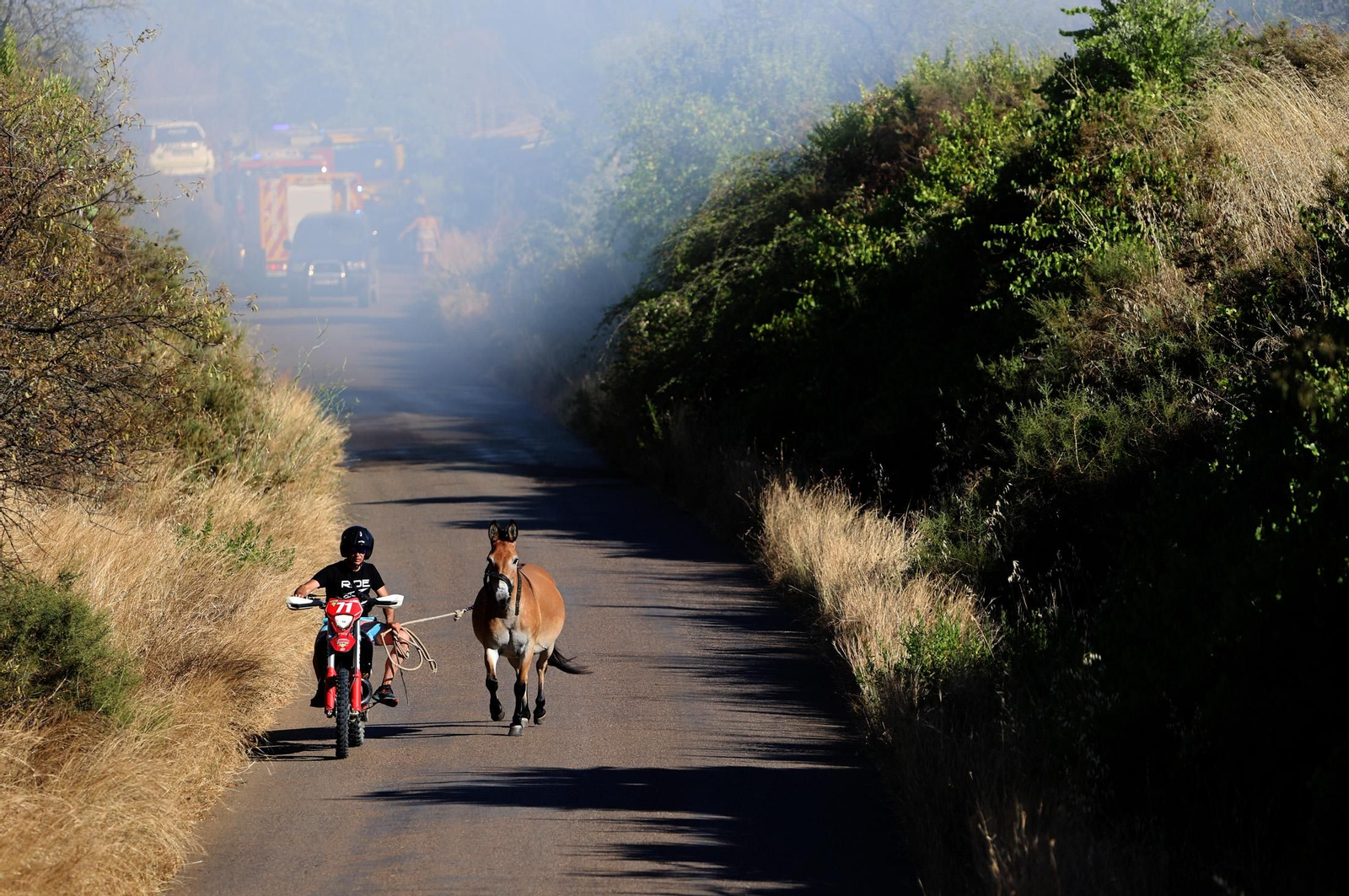 Imágenes del incendio en el Paraje del Arroyo de la Madreselva, en Bollullos par del Condado