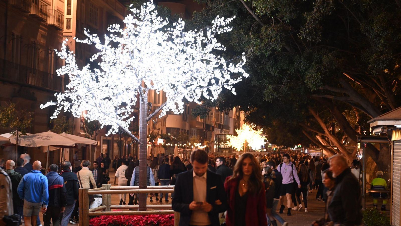 La Alameda iluminada por Navidad. La Alameda iluminada por Navidad.