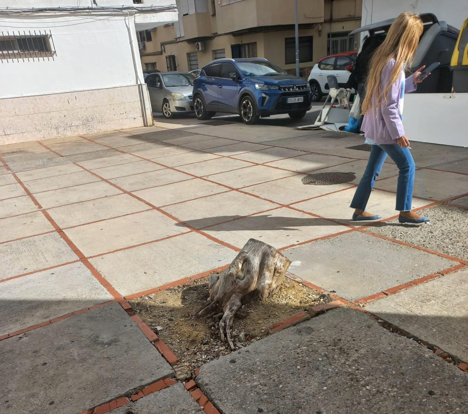 Un tocón en una zona de la barriada.