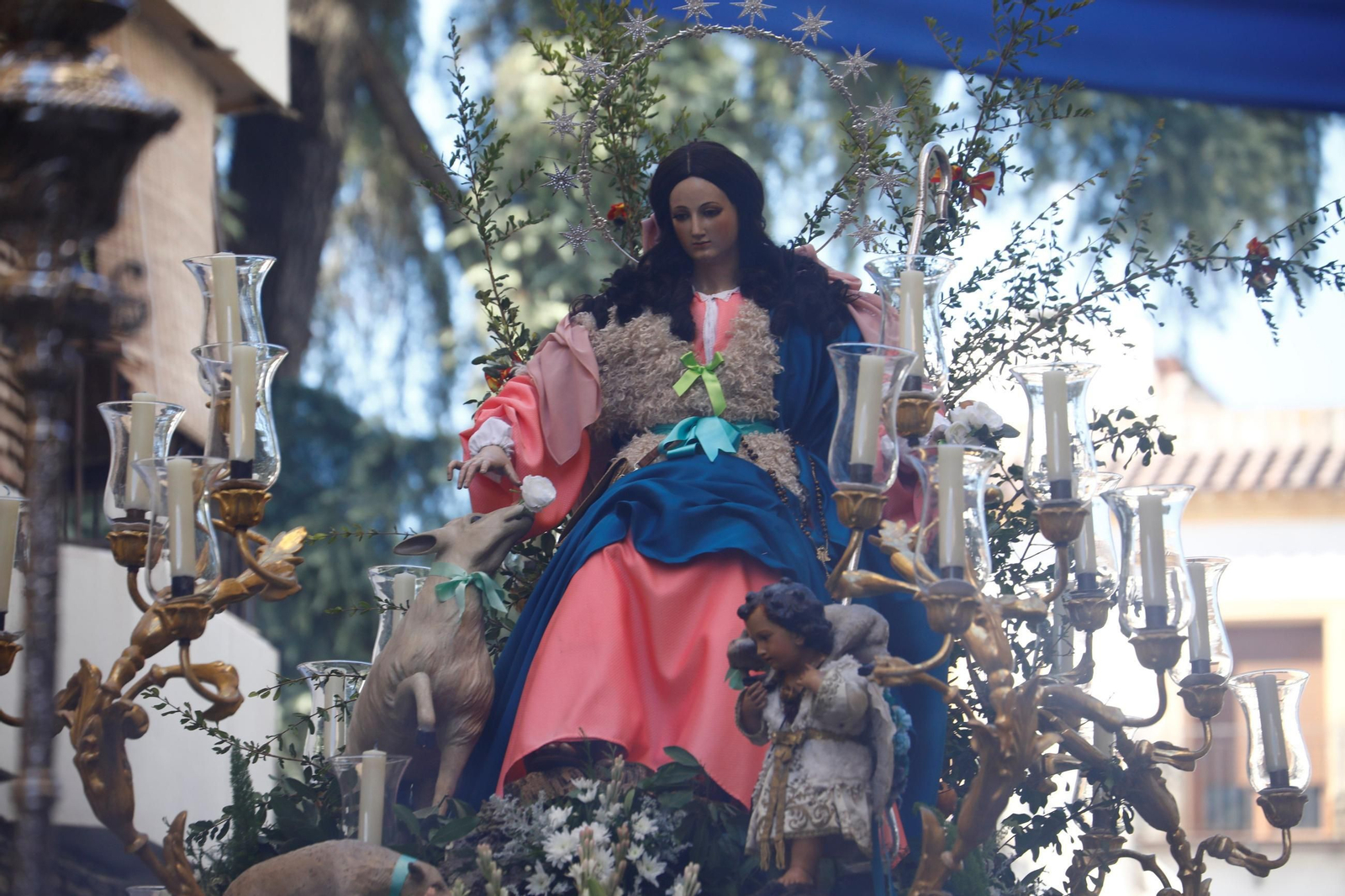 Las mejores fotos del traslado de la Divina Pastora de Córdoba