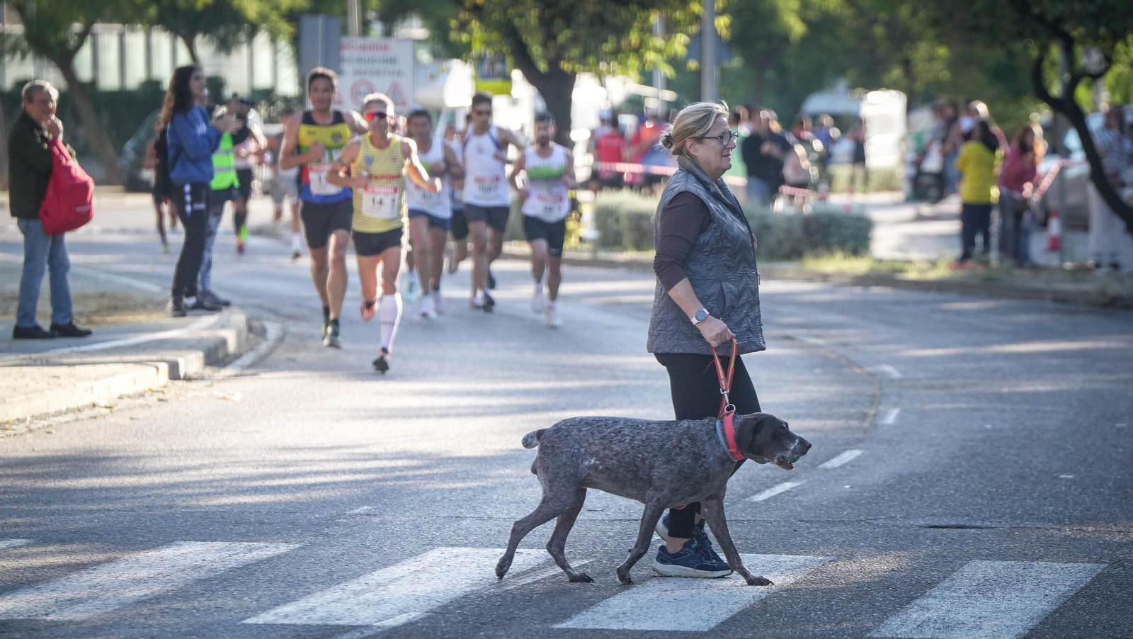 Búscate en la Media Maratón de Jerez 2024