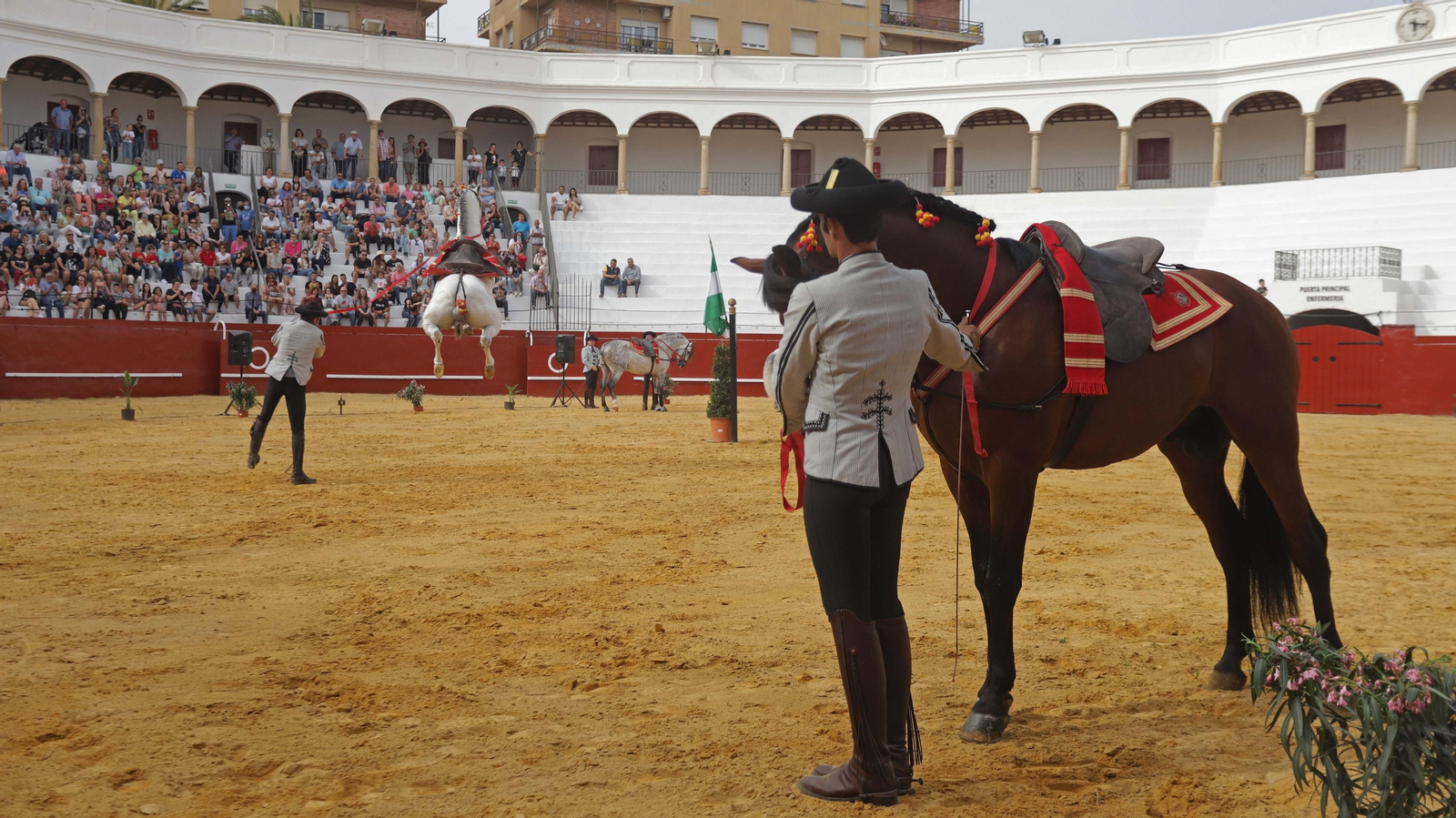 Fotos del espectáculo 'Cómo bailan los caballos andaluces' en San Roque