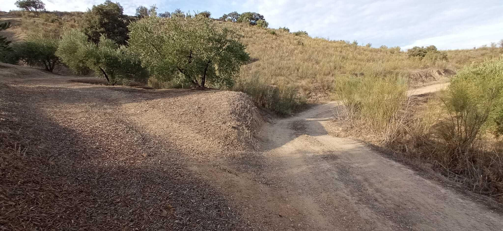 Las imágenes de la Ruta Zagrilla Baja - Esparragal - Zagrilla Baja