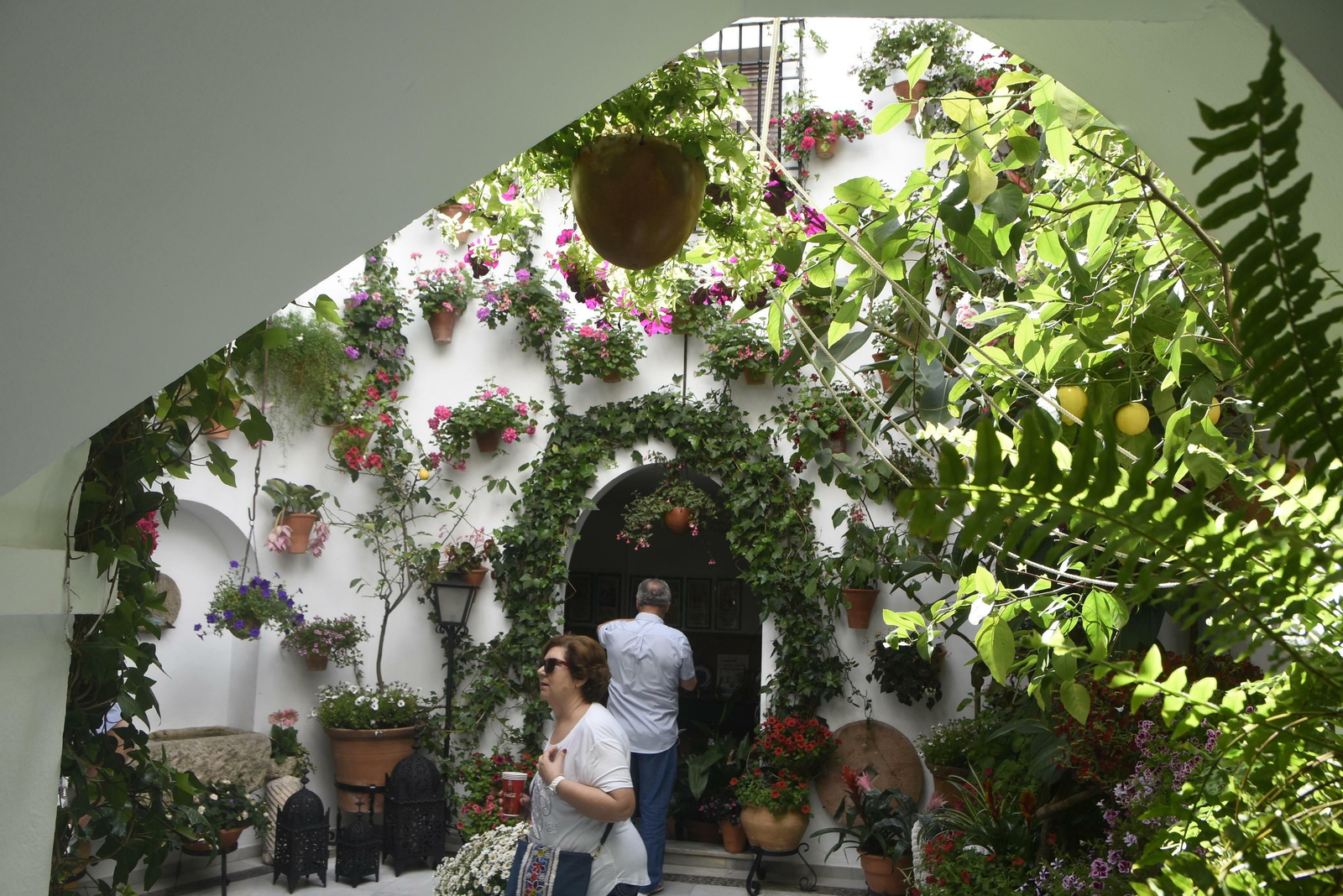 En imágenes: la ruta de los Patios del Alcázar Viejo