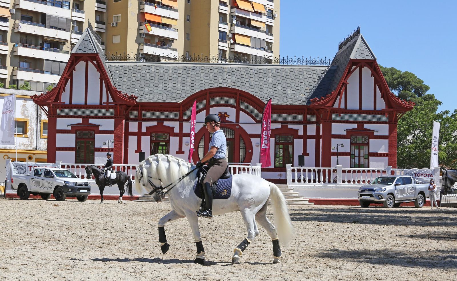 El concurso de doma reabre Sementales