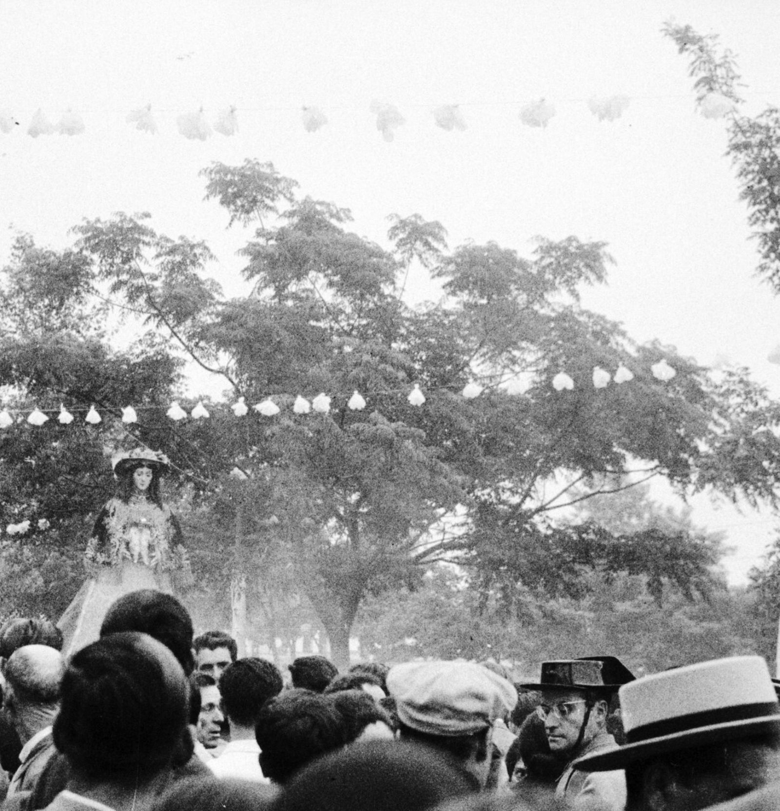 La Blanca Paloma tras ser descubierta en El Chaparral, agosto de 1963.
