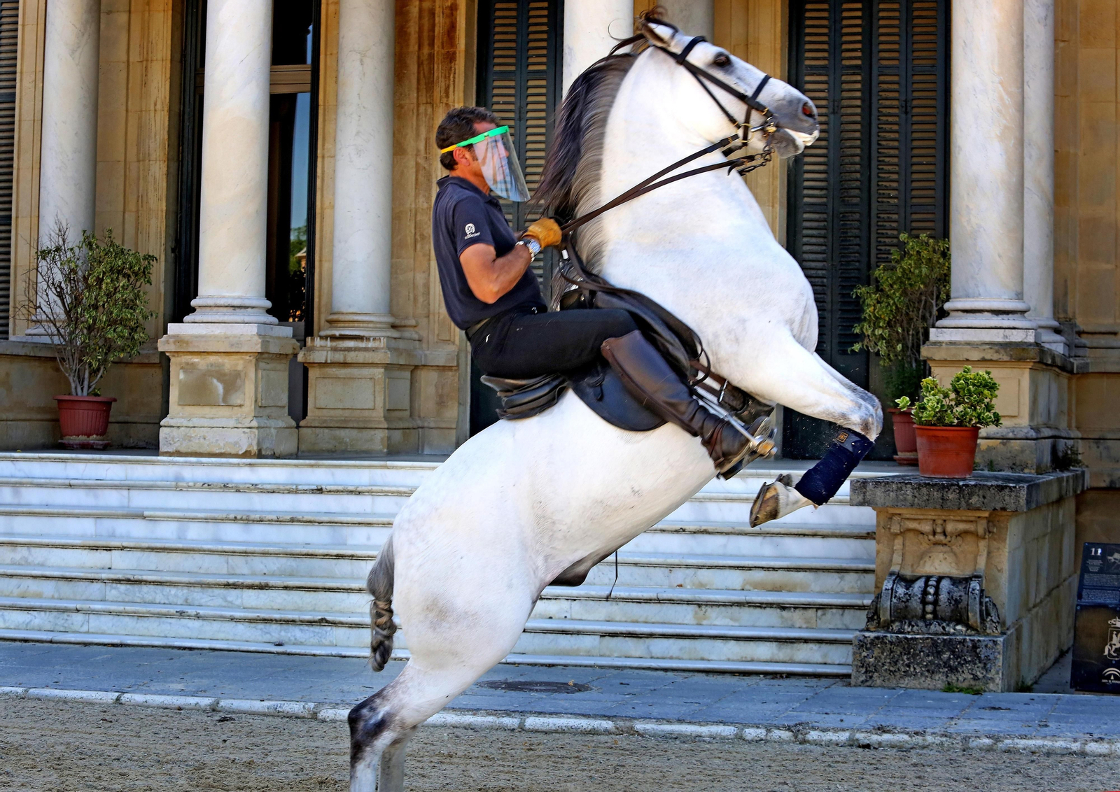 Real Escuela de Arte Ecuestre,Coronavirus