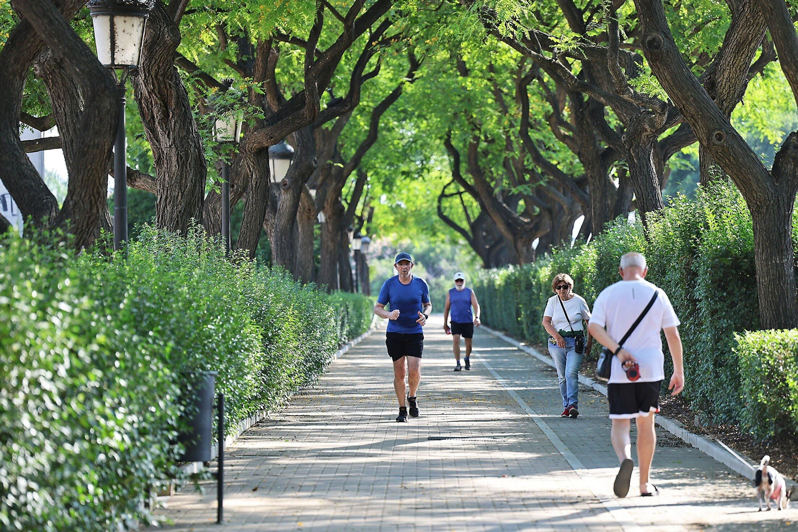 Ciudadanos pasean y hacen ejercicio a la sombra de los árboles