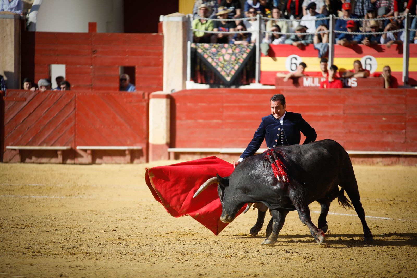 Imágenes del festival mixto lucha contra el cáncer