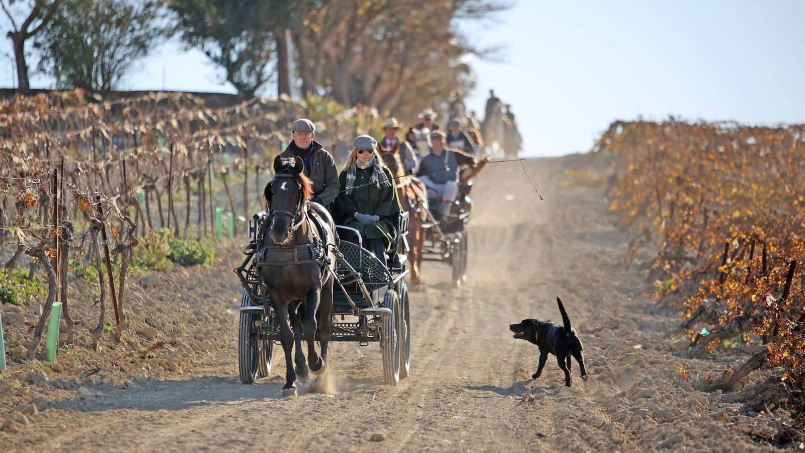 II Ruta Viñas de Jerez