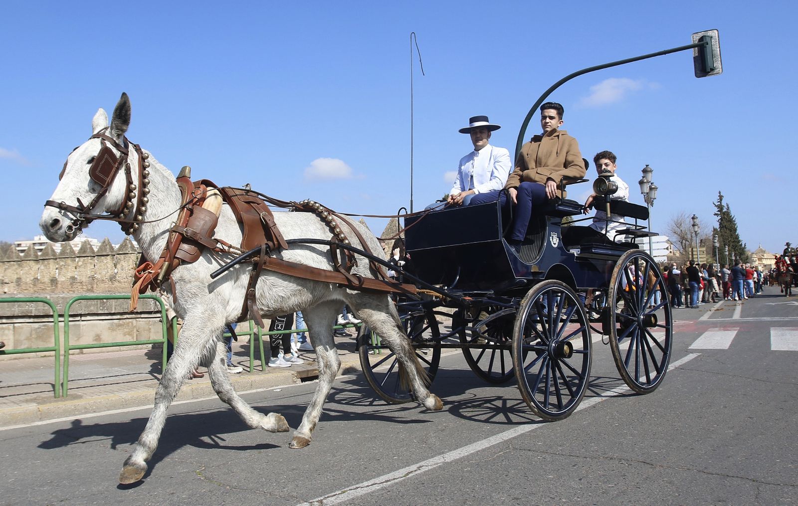 La marcha hípica en Córdoba por el 28-F, en fotografias.