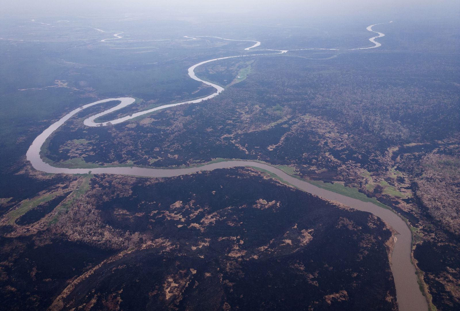 Las llamas convierten en una tumba al aire libre El Pantanal en Brasil