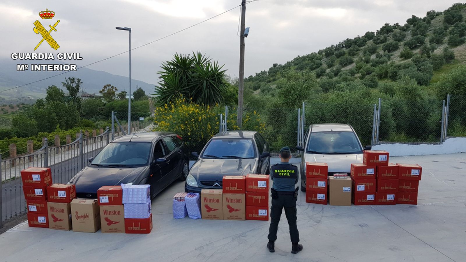 Imagen de la mercancía incautada.