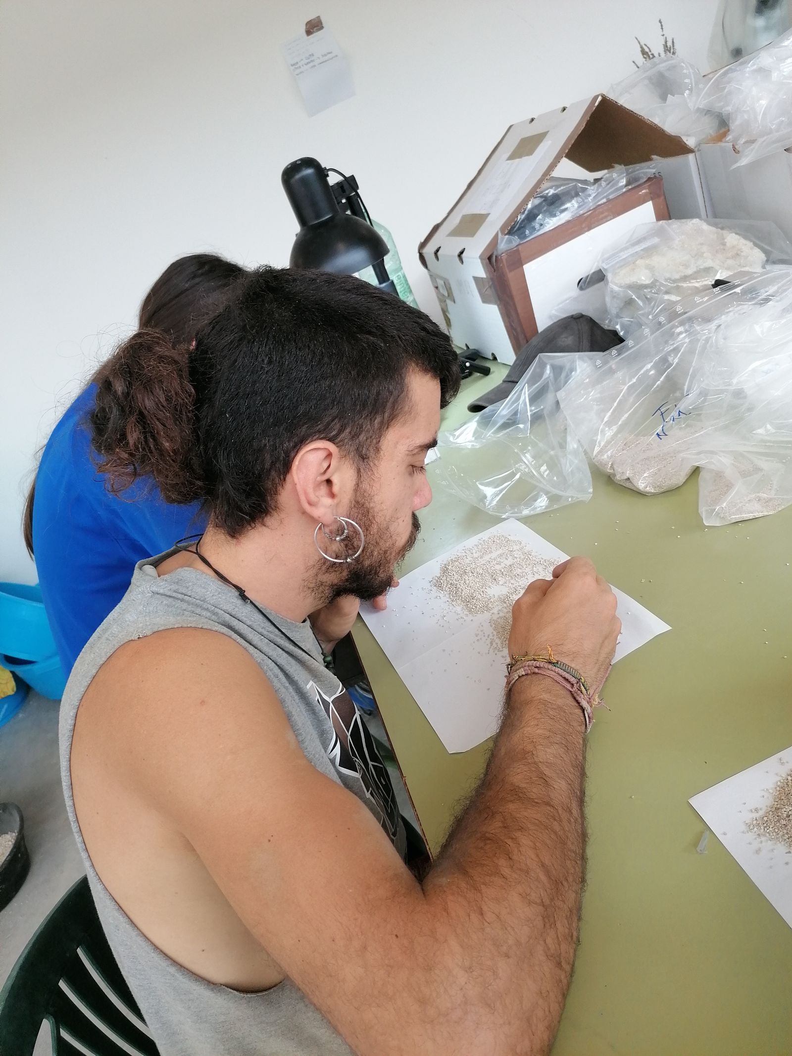 Trabajo con las muestras del yacimiento.