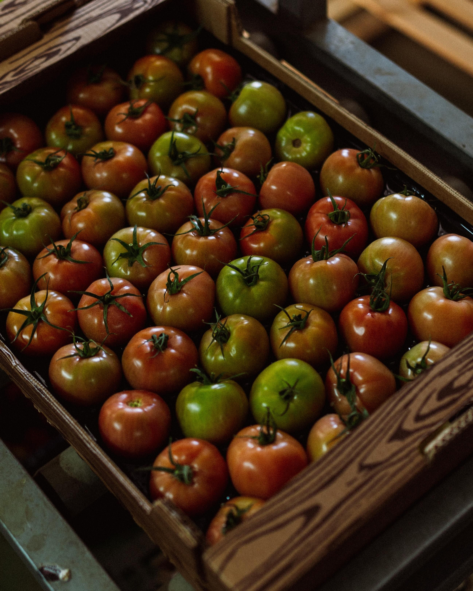 Tomates del campo nijareño.