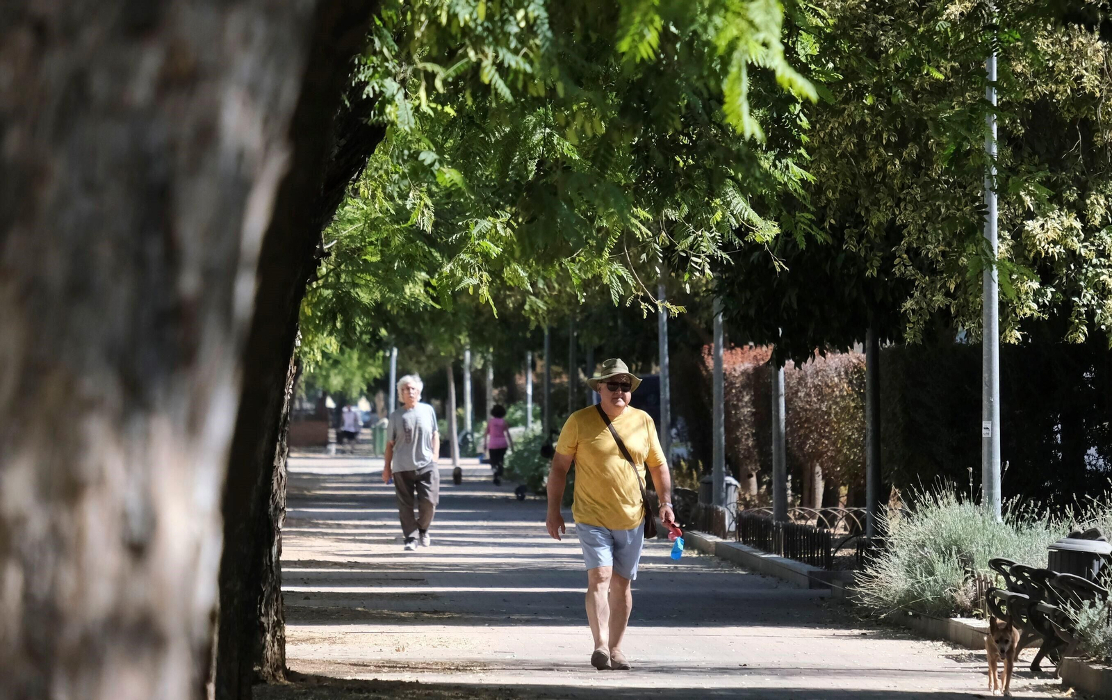 Un paseo en imágenes por el barrio cordobés del Santuario un día de agosto Un paseo en imágenes por el barrio cordobés del Santuario un día de agosto